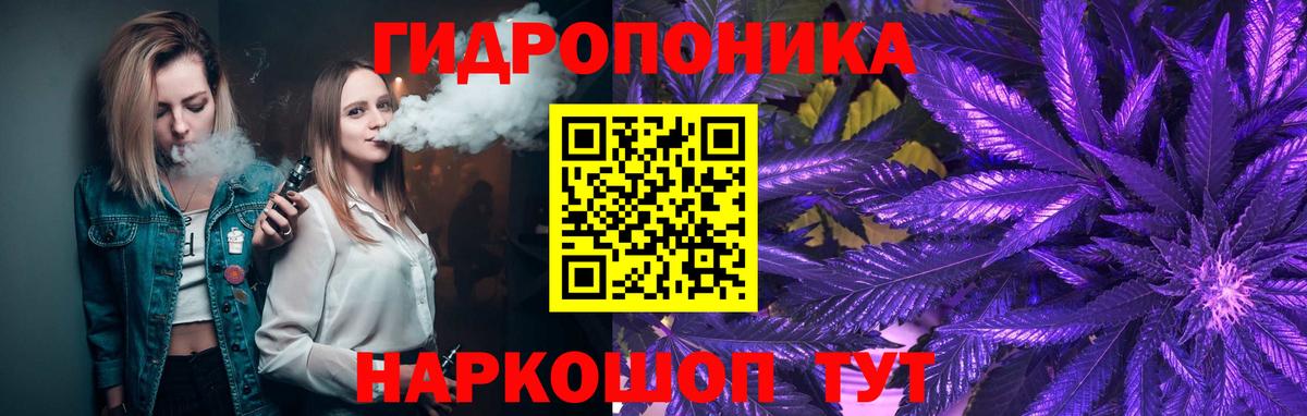 Каннабис гибрид Новоалександровск